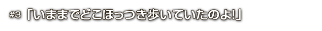 #3「いままでどこほっつき歩いていたのよ！」